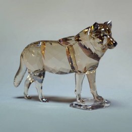 Swarovski Kristal |SCS Leden | SCS - 2019 - Grijze Wolf | 5428544